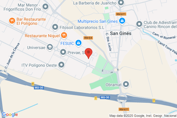 Gallego Gines a.