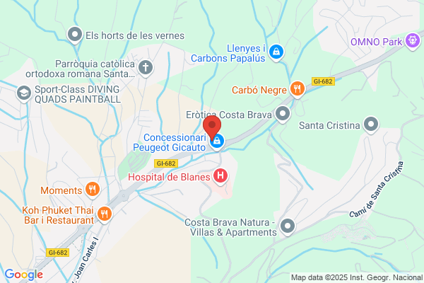 Assistencia I Grues Blanes S.L.