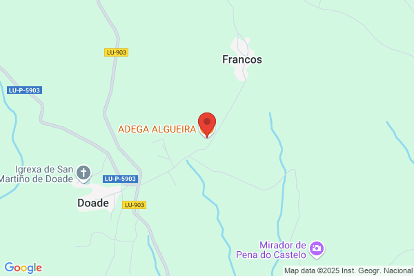 Bodega Alguira - Destilado Antiguo