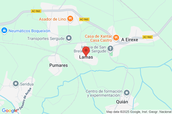 Lamas Dubra m.