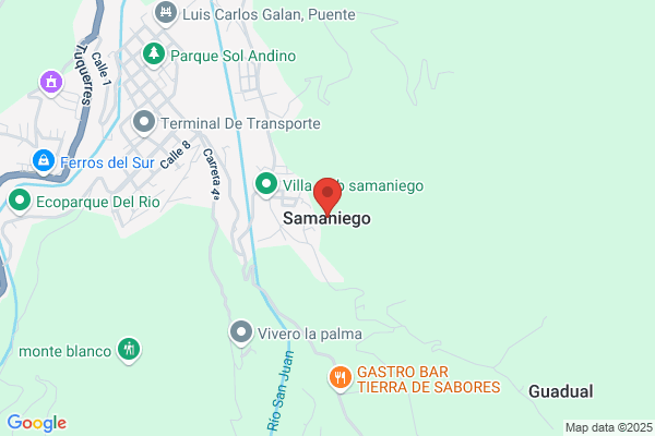 Martin Samaniego j.