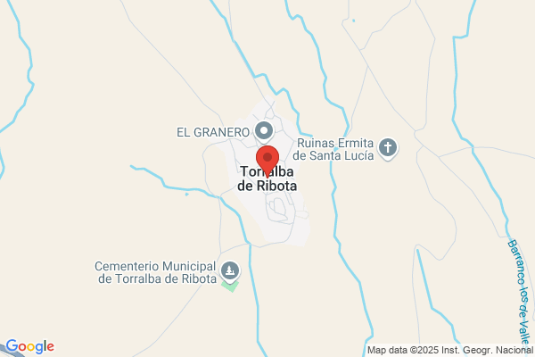 Cárnicas Calatayud S.A.