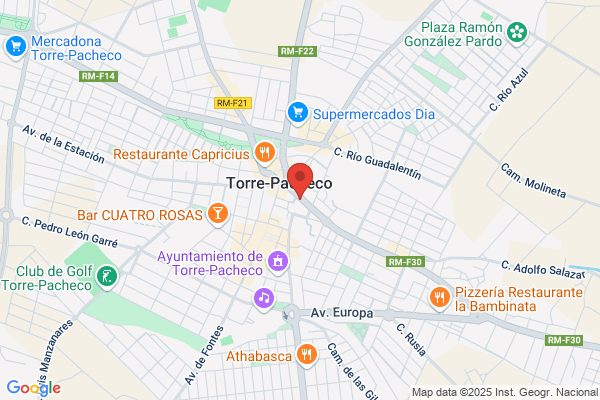 Centro De Formacion Vial Virgen Del Pasico s.L.