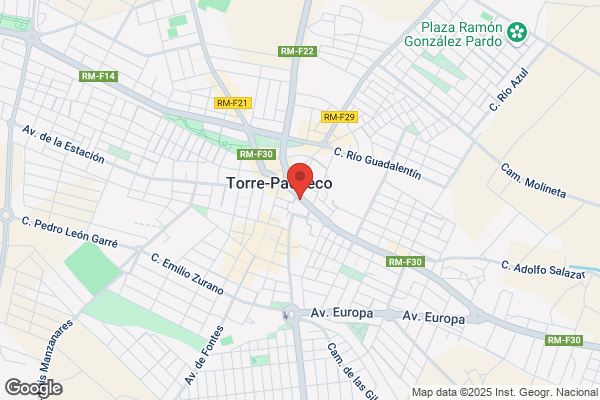 Centro De Formacion Vial Virgen Del Pasico s.L.