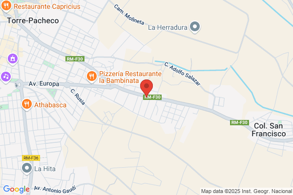 Campoes Servicio Integral Xxi S.A.