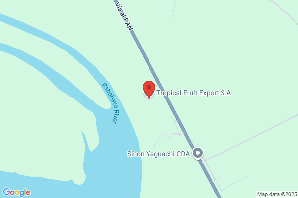 Fruitexport S. A.