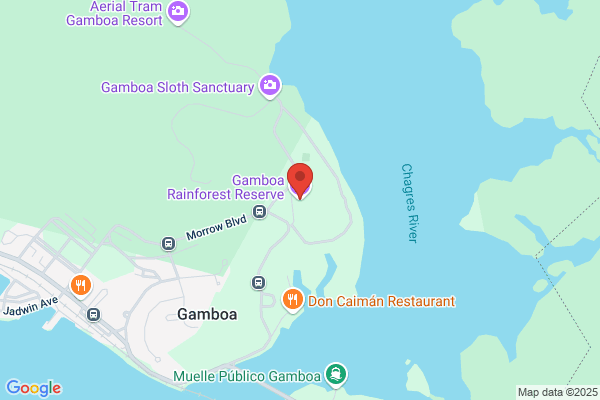 Gamboa Gamboa m.