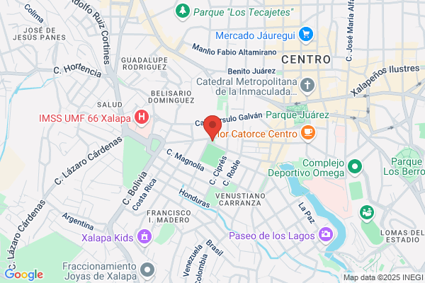 Allende Lobato a.