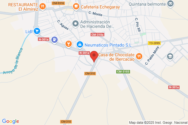 Neumaticos Michelin
