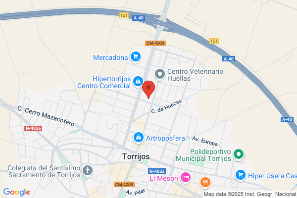 Pintores Todo Toledo
