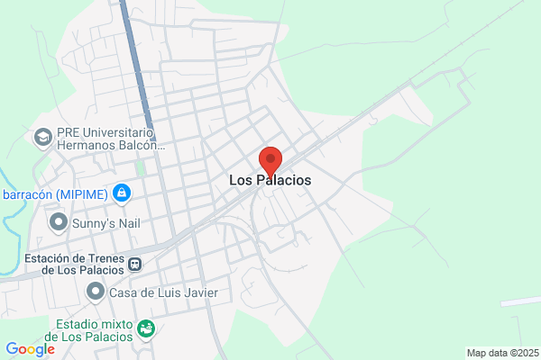 Holguin Palacios a.
