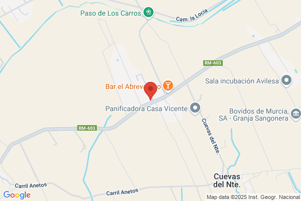 Construcciones Metalicas Canovas Y Vaillo S.L.