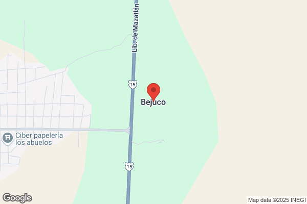 Bejuco S.L.