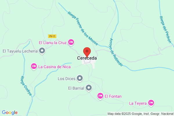 Cereceda Fernandez l.