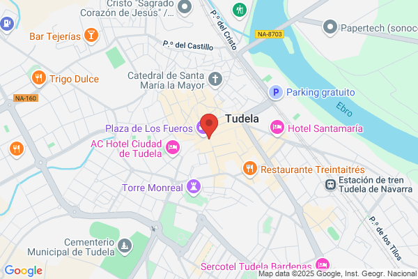 Hostal Remigio S.L.
