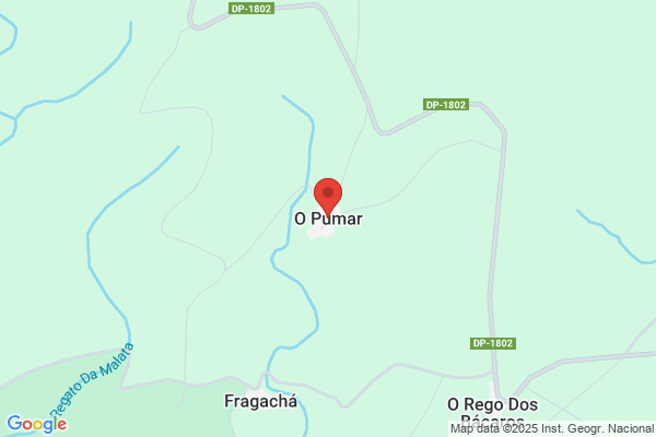 Rodriguez Pumar s.