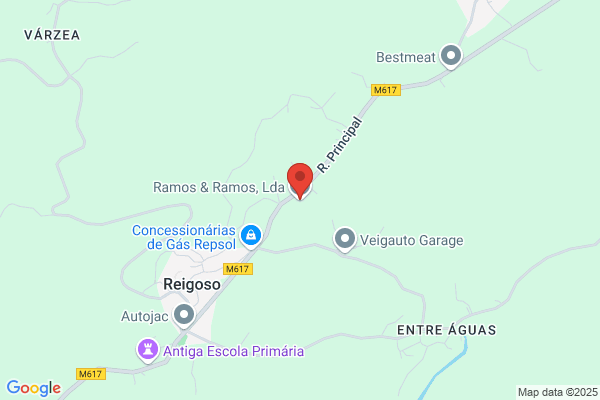 Ramos Novo b.