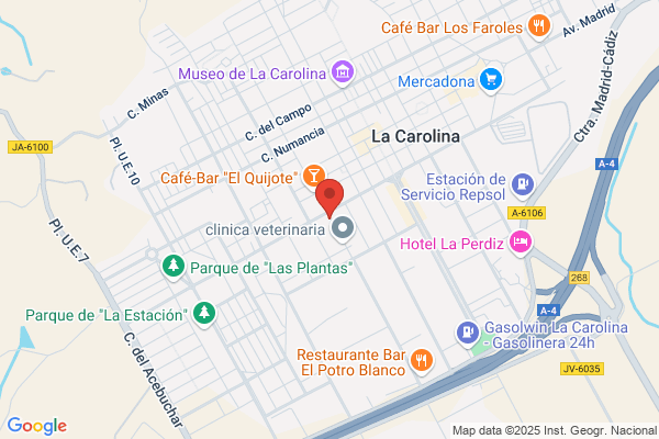 Montes Gonzalez m.