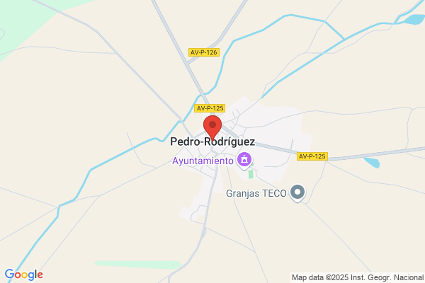 Rodriguez Iglesias p.