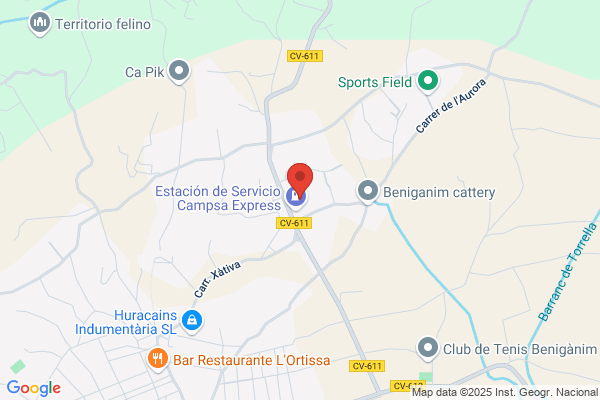 Autobuses De Linea Jose Ramon Angulo