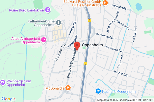 Flycar S.A.