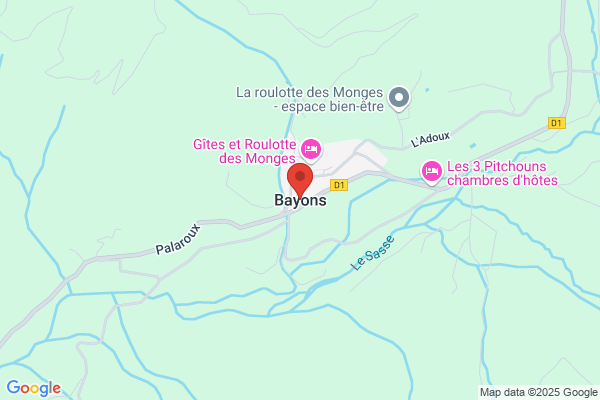 Salas Bayon v.