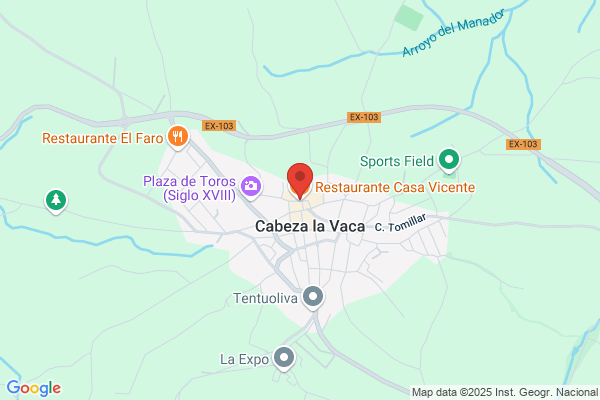 Bar Restaurante Casa Vicente - Comidas Caseras - menú