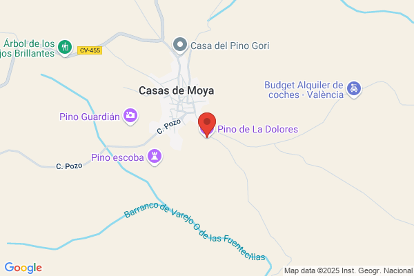 Alcayde Del Pino m.