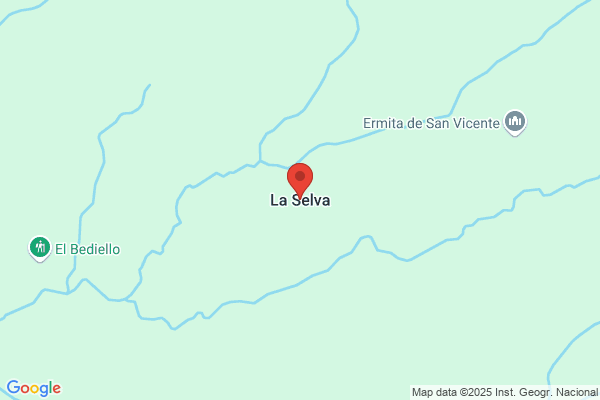 Selva Huesca m. Del C.