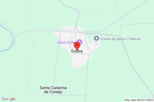 Godoy Hidalgo j. F.