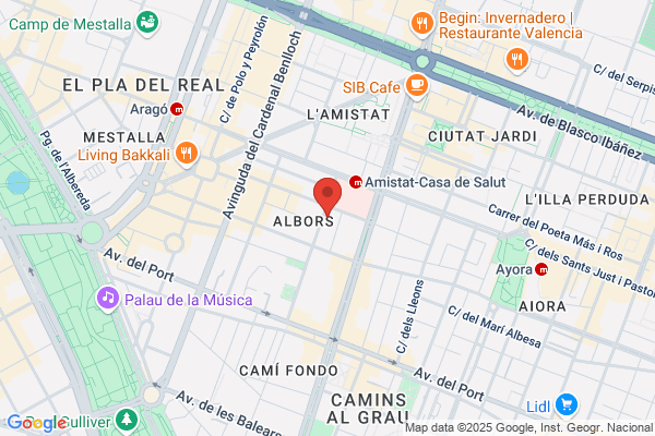 Colegio Angelina Carnicer