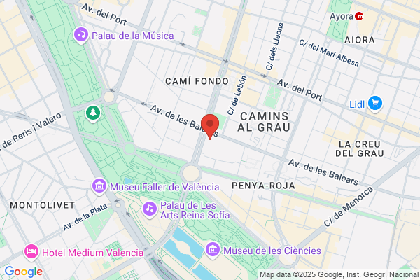 Colegio Oficial Profesores De Bellas Artes