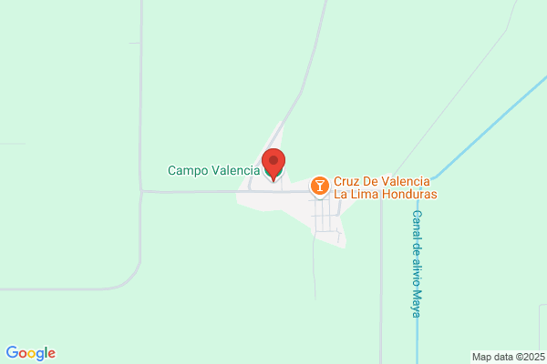 Campos De La Fuente j. L.