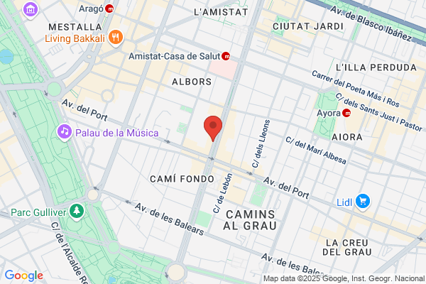 Levantina De Juegos Y Servicios S.A.