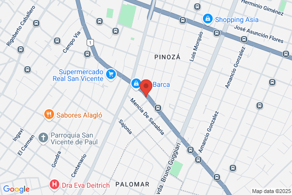Amores Asuncion a.