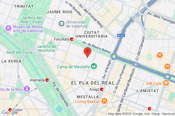 Instituto Valenciano De Neurologia Pediatrica