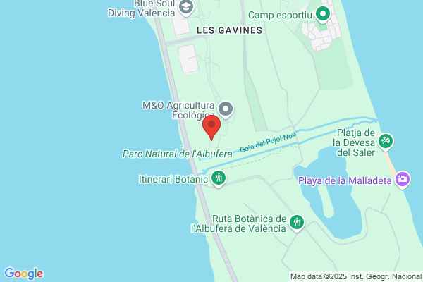 Fernandez j.