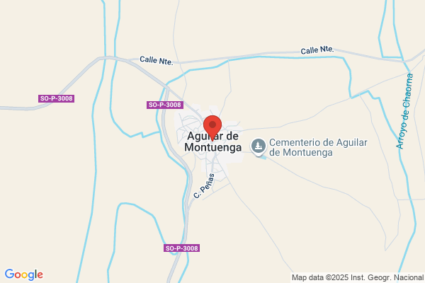 Montañana Aguilar s.