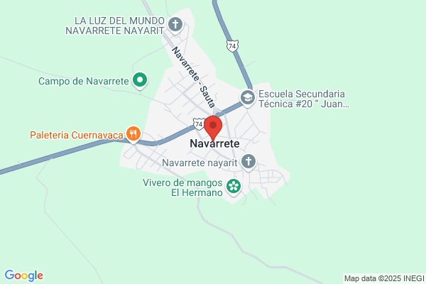 Navarrete Sanz s.