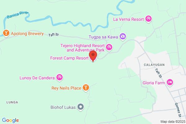 Camps Fornas j.