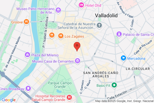 Pension Vianesa