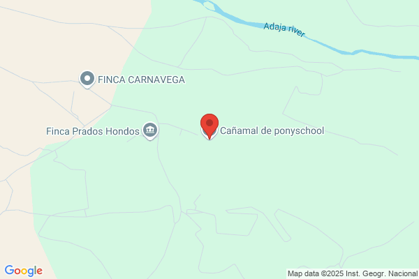 Ponyschool