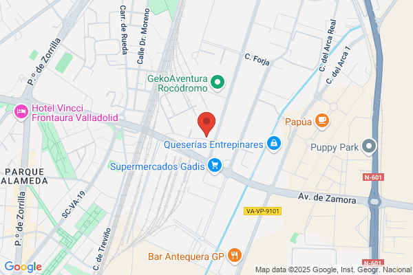 Colegio Internacional De Valladolid