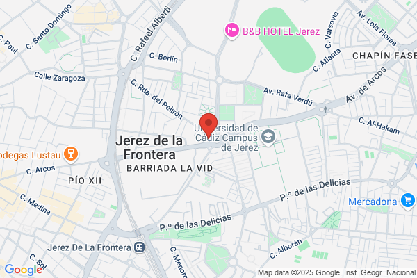 Asesoria Luis Olmedo