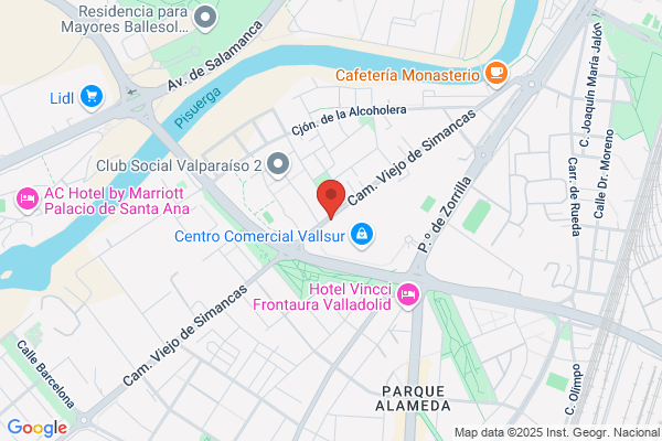 Camino Viejo S.A.