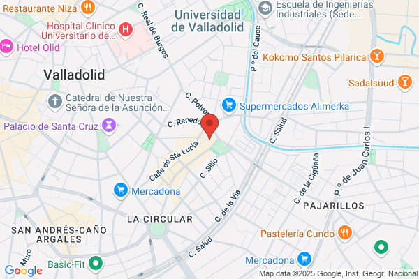 Raúl de Frutos Fisioterapeuta