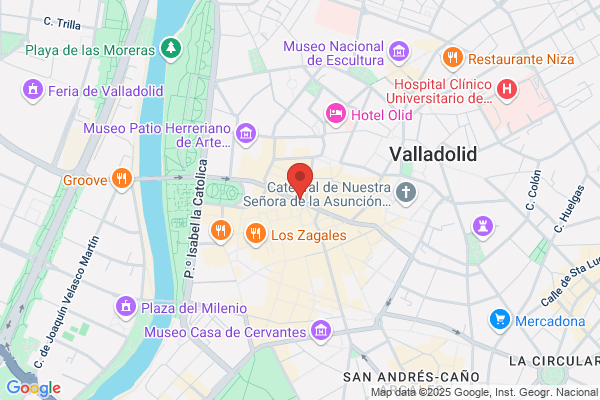 Colegio Oficial De Economistas