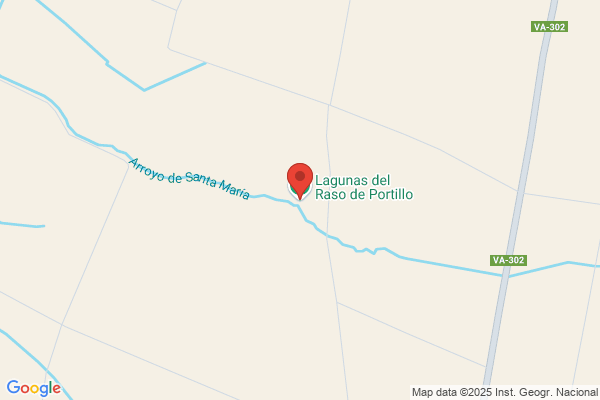 Tejero De La Rosa d.