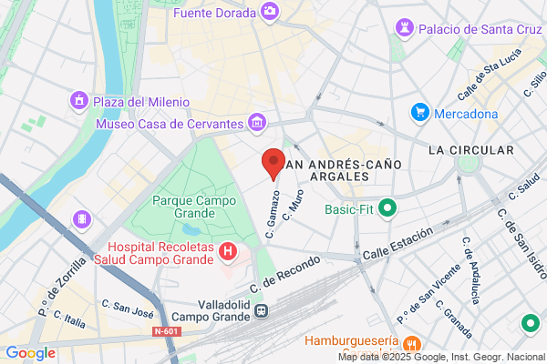 Academia Gamazo 22