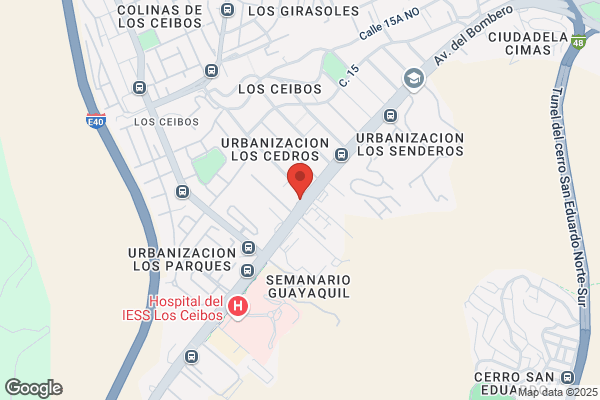 La Nueva Union De Seguros S. A.